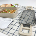 Reusable Plastic Double Layer Lunch Box